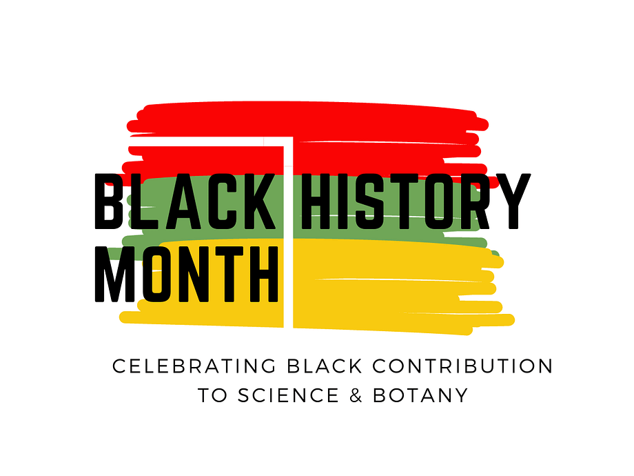 black history month red, black and yellow poster